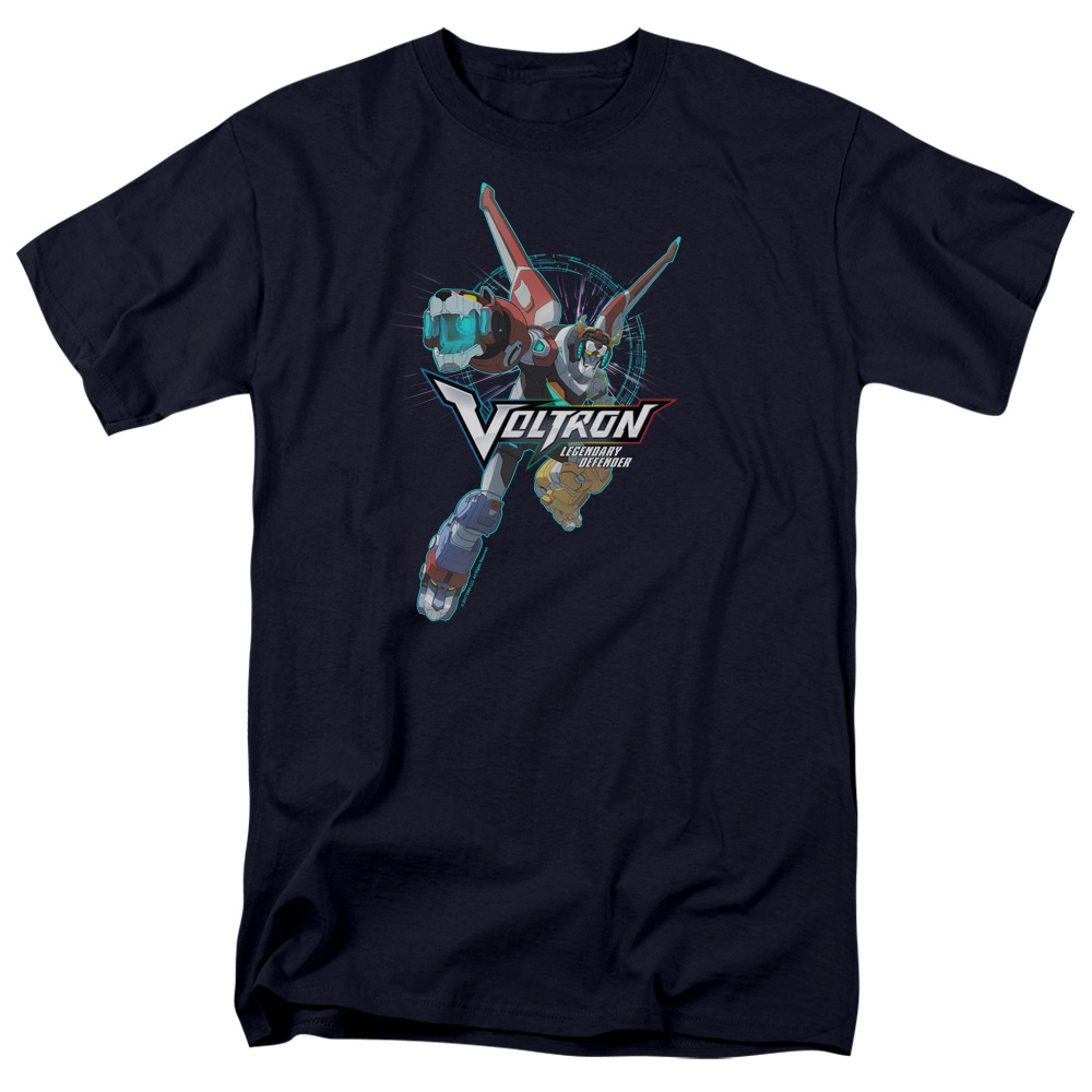 Defender Pose Voltron