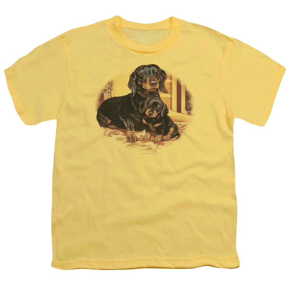 Wild Wings Wild Life Picture Perfect Dachshunds Dogs