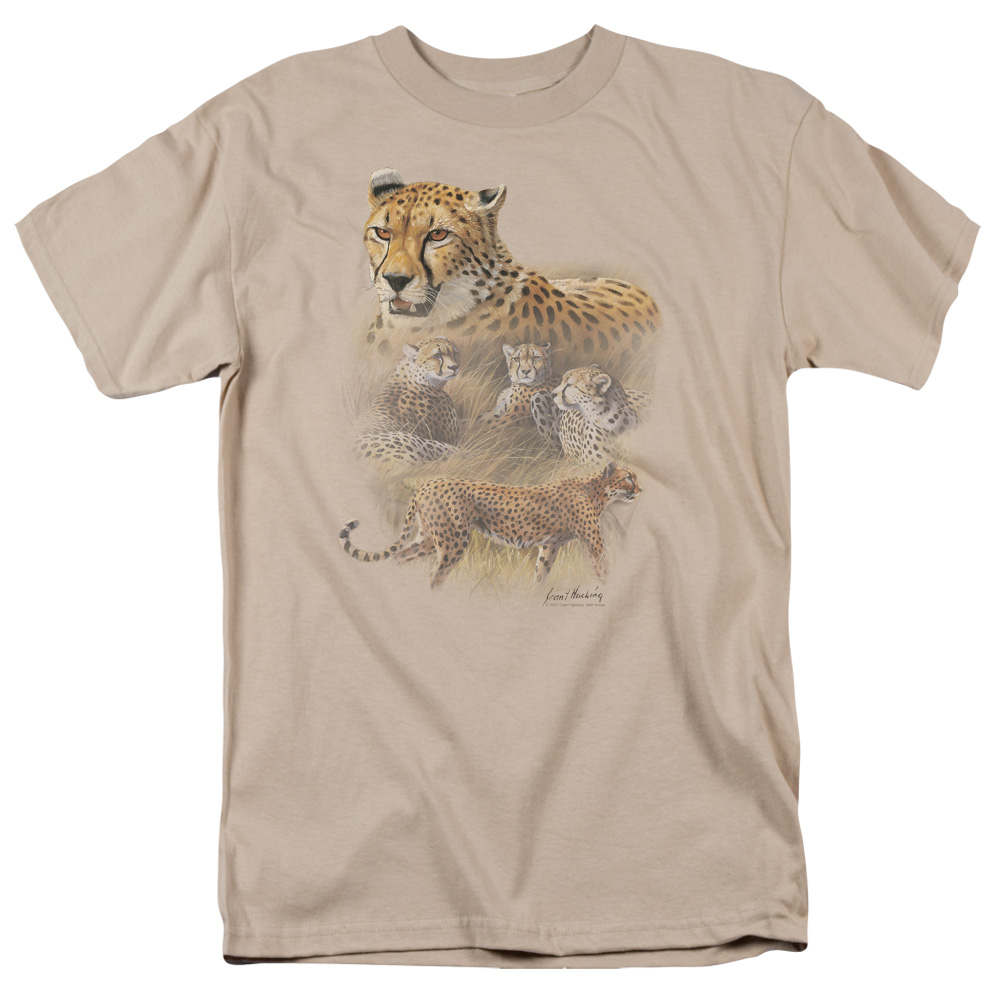 Wild Wings Cheetahs